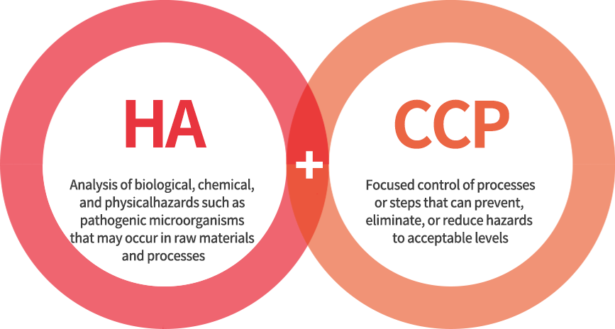 HA(원료와 공정에서 발생 가능한 병원 미생물 등 생물학적, 화학적, 물리적 위해 요소 분석), CCP(위해 요소를 예방, 제거 또는 허용 수준으로 감소시킬수 있는 공정이나 단계 중점 관리)