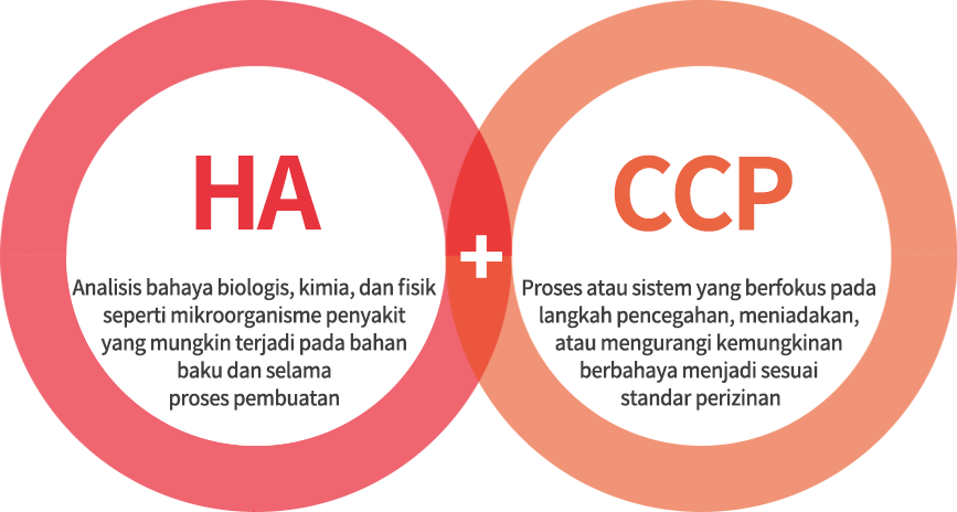 HA(원료와 공정에서 발생 가능한 병원 미생물 등 생물학적, 화학적, 물리적 위해 요소 분석), CCP(위해 요소를 예방, 제거 또는 허용 수준으로 감소시킬수 있는 공정이나 단계 중점 관리)